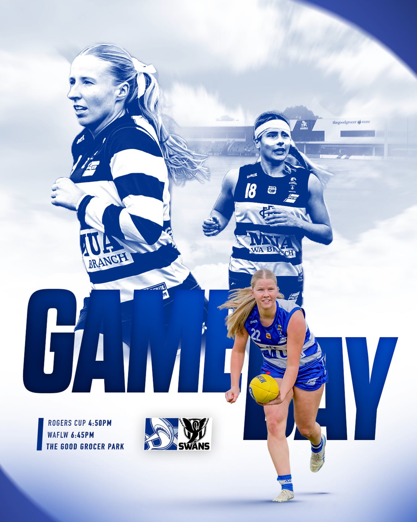 IT’S GAMEDAY! Get down to the good grocer park tonight to see the sharks face off against the swans!