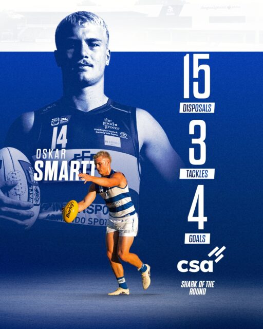 Our sharks of the week!