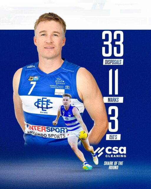 This weeks Shark of the Round!