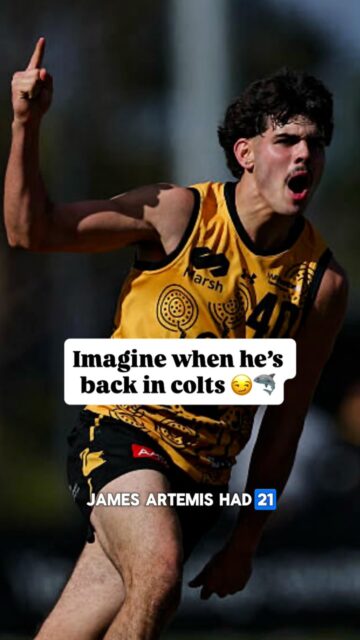 After a short hiatus we’re back with the Shark Tales pod, recapping R10 in the WAFL and looking at some of the recent highlights including our Sharks representing WA at the national championships 🦈🦢Listen now on Spotify or Apple 🎧#sharktales #eastfreo #wafl #wafooty