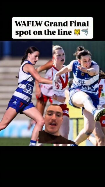 Stage is set for Sunday 😤🦈Clip brought to you by @the_left_bank 🤝#waflw #finals #gosharks #effc #finsup